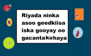 Riyada ninka asoo geedkiisa iska gooyay oo gacanta ku haya