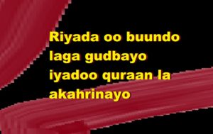 Riyada oo buundo laga gudbayo iyadoo quraan la akahrinayo