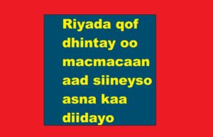 Riyada qof dhintay oo macmacaan aad siineyso asna kaa diidayo