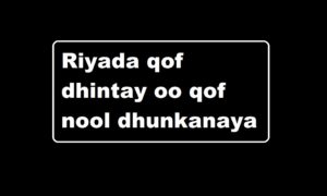 Riyada qof dhintay oo qof nool dhunkanaya