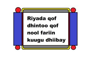 Riyada qof dhintoo qof nool fariin kuugu dhiibay