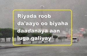 Riyada roob da'aayo oo biyaha daadanaya aan luga galiyay