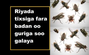 Riyada tixsiga fara badan oo guriga soo galaya