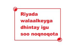 Riyada walaalkeyga dhintay igu soo noqnoqota