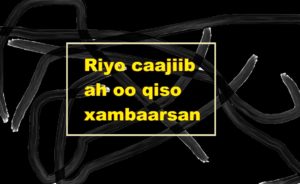 Riyo caajiib ah oo qiso xambaarsan