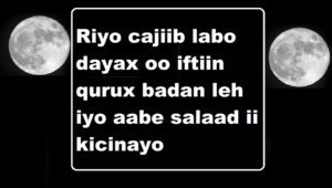 Riyo cajiib labo dayax oo iftiin qurux badan leh iyo aabe salaad ii kicinayo