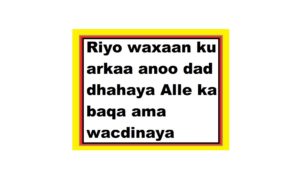 Riyo waxaan ku arkaa anoo dad dhahaya Alle ka baqa ama wacdinaya