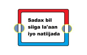 Sadax bil siiga la'aan iyo natiijada