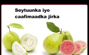 Seytuunka iyo caafimaadka jirka