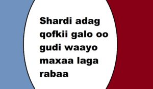 Shardi adag qofkii galo oo gudi waayo maxaa laga rabaa