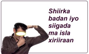 Shiirka badan iyo siigada ma isla xiriiraan