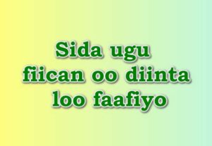 Sida ugu fiican oo diinta loo faafiyo