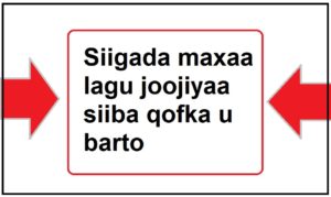 Siigada maxaa lagu joojiyaa siiba qofka u barto