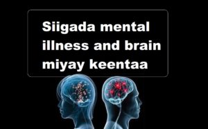 Siigada mental illness and brain miyay keentaa