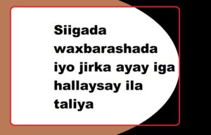 Siigada waxbarashada iyo jirka ayay iga hallaysay ila taliya