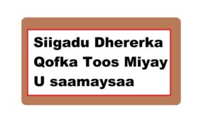 Siigadu Dhererka Qofka Toos Miyay U saamaysaa