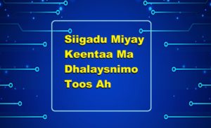 Siigadu Miyay Keentaa Ma Dhalaysnimo Toos Ah