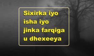 Sixirka iyo isha iyo jinka farqiga u dhexeeya