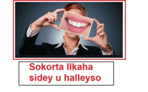 Sokorta Ilkaha sidey u halleyso