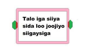 Talo iga siiya sida loo joojiyo siigaysiga