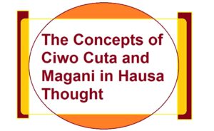 The Concepts of Ciwo Cuta and Magani in Hausa Thought