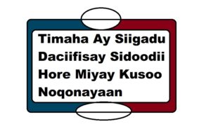 Timaha Ay Siigadu Daciifisay Sidoodii Hore Miyay Kusoo Noqonayaan