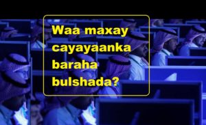 Waa maxay cayayaanka baraha bulshada?