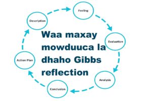 Waa maxay mowduuca la dhaho Gibbs reflection