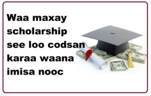 Waa maxay scholarship see loo codsan karaa waana imisa nooc