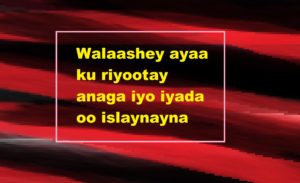 Walaashey ayaa ku riyootay anaga iyo iyada oo islaynayna 