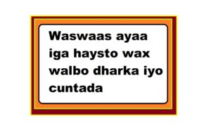 Waswaas ayaa iga haysto wax walbo dharka iyo cuntada