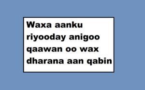 Waxa aanku riyooday anigoo qaawan oo wax dharana aan qabin