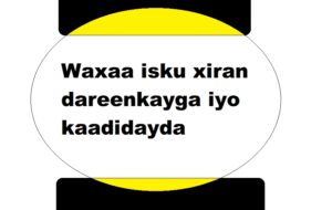 Waxaa isku xiran dareenkayga iyo kaadidayda