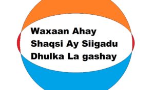 Waxaan Ahay Shaqsi Ay Siigadu Dhulka La gashay