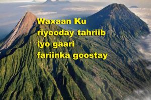 Waxaan Ku riyooday tahriib iyo gaari fariinka goostay