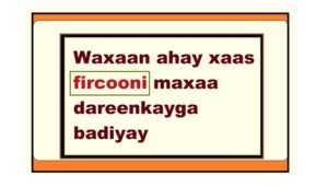 Waxaan ahay xaas fircooni maxaa dareenkayga badiyay