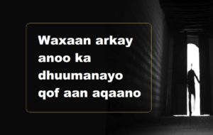 Waxaan arkay anoo ka dhuumanayo qof aan aqaano