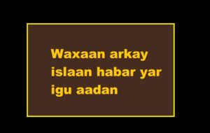 Waxaan arkay islaan habar yar igu aadan