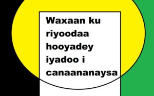 Waxaan ku riyoodaa hooyadey iyadoo i canaananaysa