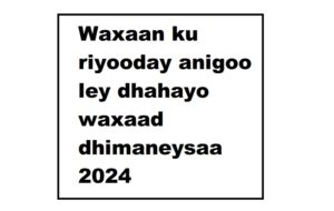 Waxaan ku riyooday anigoo ley dhahayo waxaad dhimaneysaa 2024