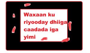 Waxaan ku riyooday dhiiga caadada iga yimi