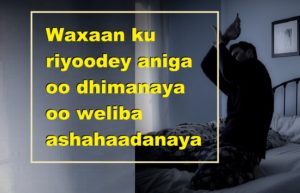 Waxaan ku riyoodey aniga oo dhimanaya oo weliba ashahaadanaya