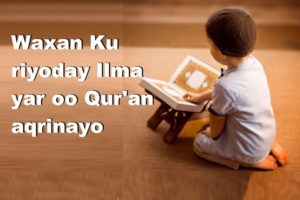 Waxan Ku riyoday Ilma yar oo Qur'an aqrinayo