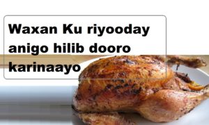 Waxan Ku riyooday anigo hilib dooro karinaayo