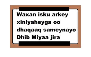 Waxan isku arkey xiniyaheyga oo dhaqaaq sameynayo Dhib Miyaa jira