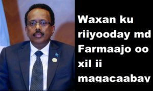 Waxan ku riiyooday md Farmaajo oo xil ii magacaabaya