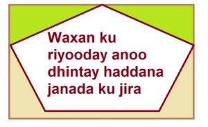 Waxan ku riyooday anoo dhintay haddana janada ku jira