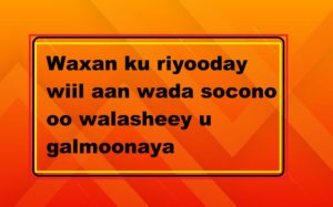 Waxan ku riyooday wiil aan wada socono oo walasheey u galmoonaya