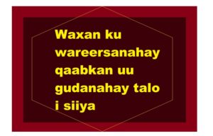 Waxan ku wareersanahay qaabkan uu gudanahay talo i siiya