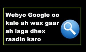 Webyo Google oo kale ah wax gaar ah laga dhex raadin karo 